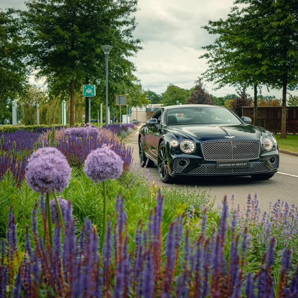 Bentley Continental GT Bloemen