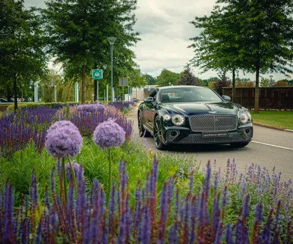 Bentley Continental GT Bloemen