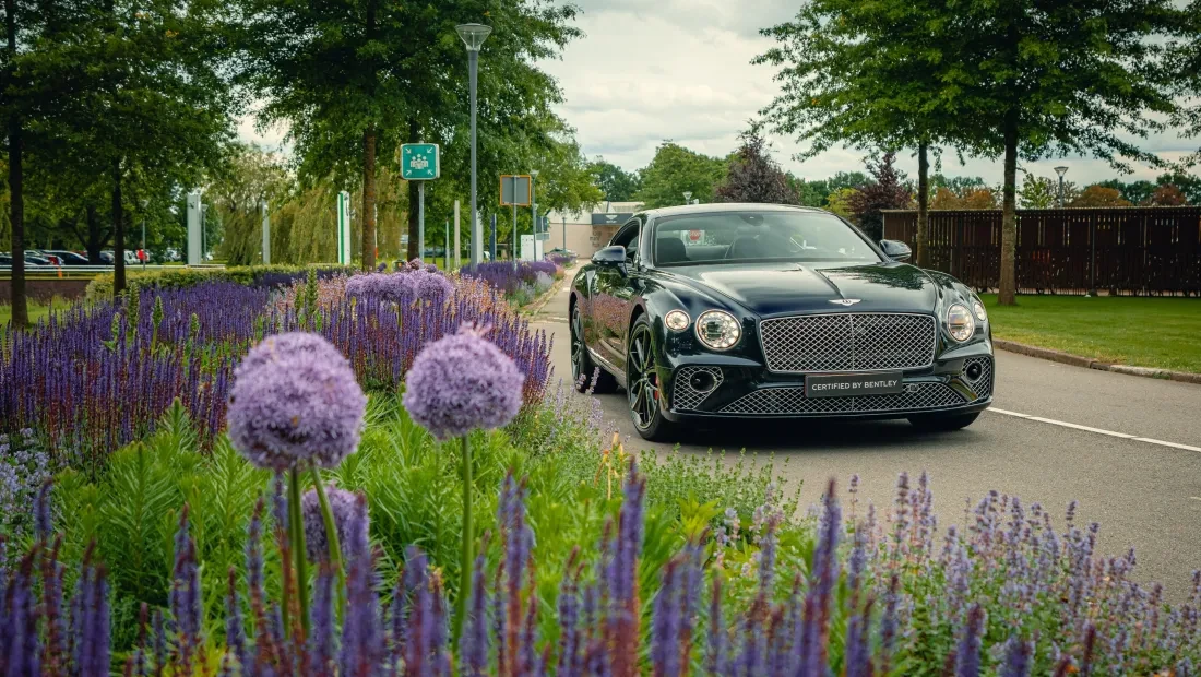 Bentley Continental GT Bloemen